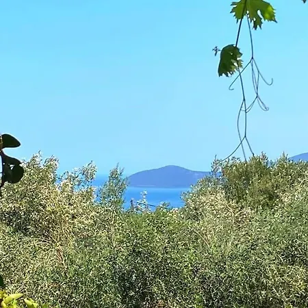 Bee - Hébergement de vacances Agia Efimia