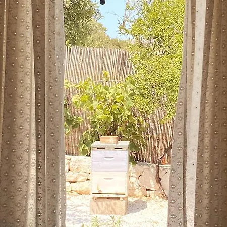 Bee - Agia Efimia