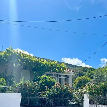 Tatil Evi Bee - *
