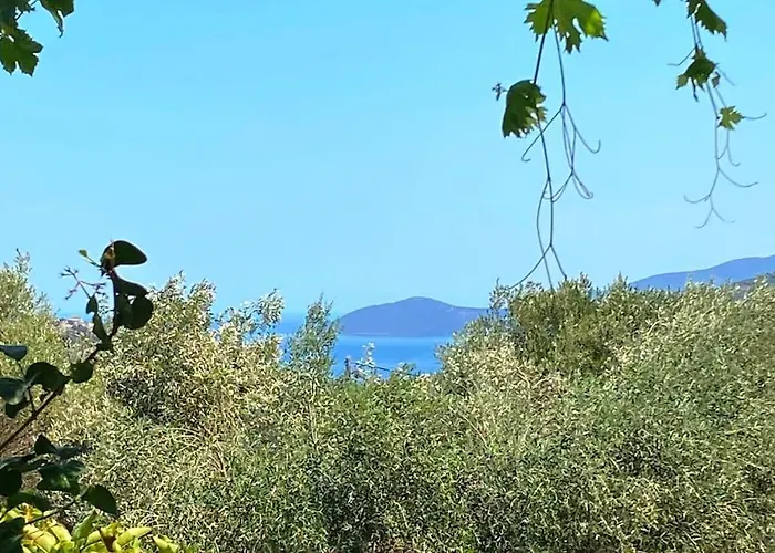 Bee - 別荘 Agia Efimia