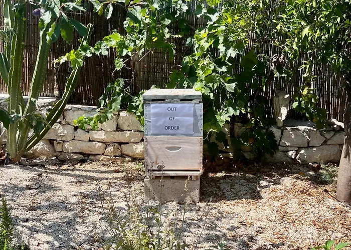 Bee - Αγία Ευφημία